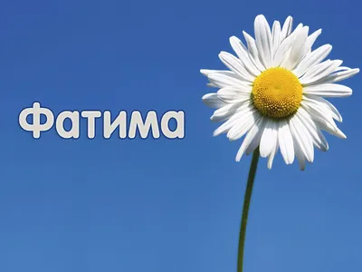 Звезда шар именная, фольгированная, разноцветная (радужный градиент), с  надписью \"С днем рождения, Фатима!\" - купить в интернет-магазине OZON с  доставкой по России (939071443)