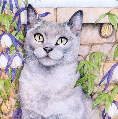 Картинка кошка животное Рисованные