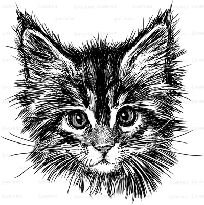Нарисованная , мультяшная кошка …» — создано в Шедевруме