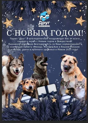 Красивые открытки на Новый год Собаки 2018: прикольные фото и картинки | Год  Жёлтой Земляной Собаки | Собаки, Открытки, Новый год