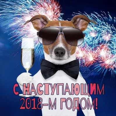 С наступающим Новым годом собаки дорогие жители любимых Бейбиков! -  Flashmob | Бэйбики - 105771