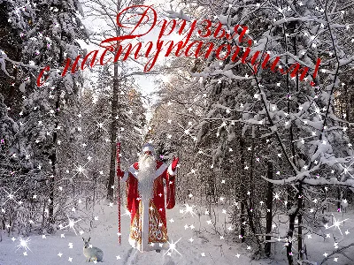 С наступающим Новым 2023 годом и Рождеством! | Koppod'Oro - питомник  доберманов г.Новосибирск