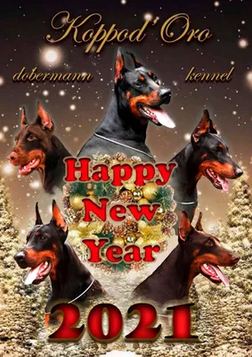 С Новым годом Собаки! | КВ