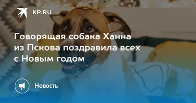 Девочки, всех с наступающим Новым Годом!!! в дневнике пользователя Алиса  (обувь ИЛ*ВИ, косметика Ян**ен, дет одеж. Моне) | Для мам