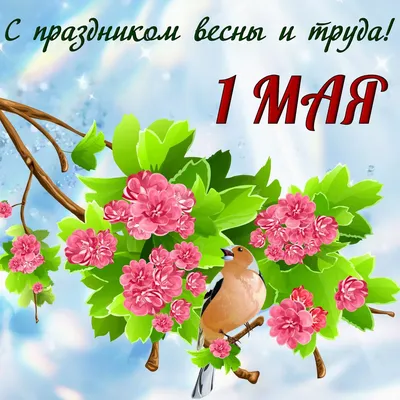 Поздравляем с наступающими майскими праздниками 2022 - Новости