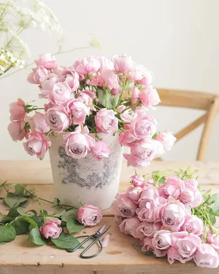 Фотообои Нежные цветы на розовом фоне купить в Оренбурге, Арт. 13-068 в  интернет-магазине, цены в Мастерфресок