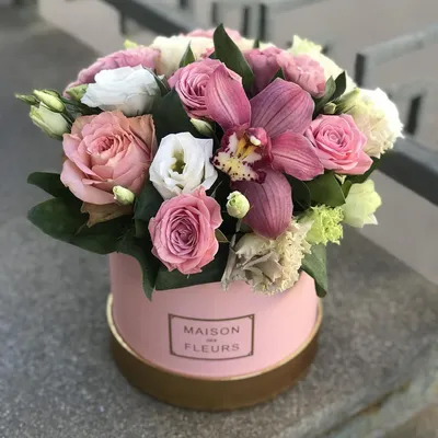 Купить Нежные цветы в коробке 💐 в СПБ недорого с бесплатной доставкой |  Amsterdam Flowes
