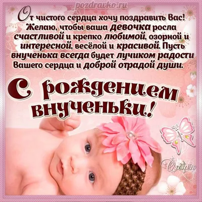 Купити Детский альбом для новорожденной девочки | Skrynya.ua