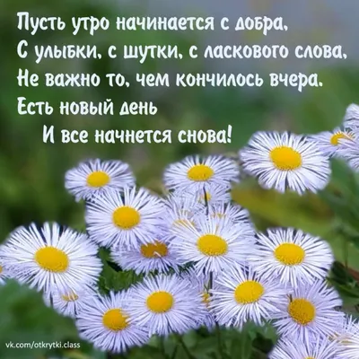 С добрым утром, новым днём!!! Приятного начала дня!!! 😊🍮 | ВКонтакте