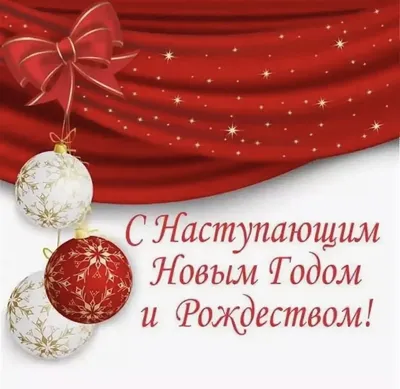 С Новым годом и Рождеством Христовым! | Федерація Дзюдо Дніпра