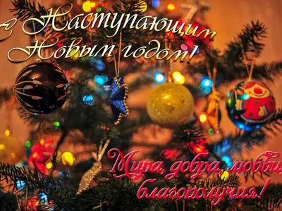 Новым Годом и Рождеством Христовым! - Новости