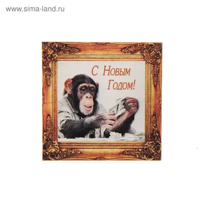 Магнит-картина \"С Новым Годом!\" обезьяна с деньгами (1209432) - Купить по  цене от 27.63 руб. | Интернет магазин SIMA-LAND.RU