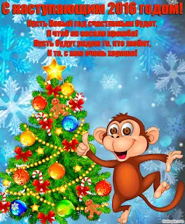 Елена Кухаренко доказывает, что Новый год можно считать Годом Жука-обезьяны