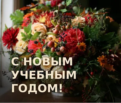 Поздравление с новым учебным годом! | Комитет образования Администрации  города Усть-Илимска. 2016-2020