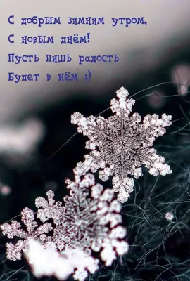Открытка с Добрым зимним утром, с четверостишьем и кофе • Аудио от Путина,  голосовые, музыкальные