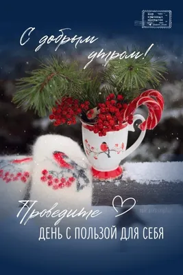 Natalia Volchkovich - С добрым зимним утром ! А за городом зима !🎄🦉🌲❄️❄️  | Facebook
