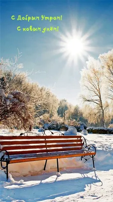 Доброго утра и чудесного зимнего дня - 81 фото