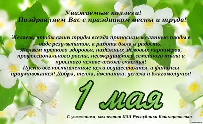 Первомай 2023: весенние открытки, картинки и поздравления 1 мая для россиян