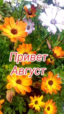 С первым днем августа, друзья! - YouTube