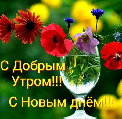 Поздравления с началом августа: первым днем августа ~ Поздравинский -  агрегатор поздравлений для всех праздников