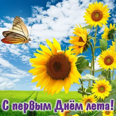 Первый день лета: поздравления в прозе и стихах, картинки на украинском —  Украина