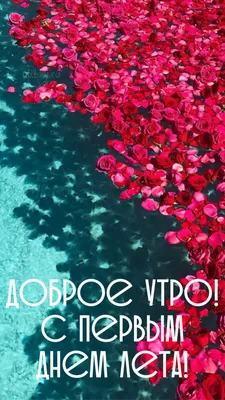 liubovdobrokhvalova - Поздравляю всех с первым Днём лета и ДНЁМ ЗАЩИТЫ  ДЕТЕЙ!!! Желаю всем здоровья, счастья, больше солнечных дней, безоблачного,  чистого, мирного неба. Любите друг друга и берегите свои семьи. Здоровая  семья,