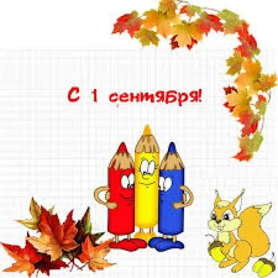 С первым днём ноября - Осень | Осенние картинки, Осень, Детеныши животных