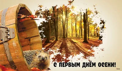 Открытки и гифки про осень 2024 - скачайте на Davno.ru