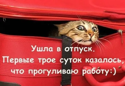 С первым днем отпуска