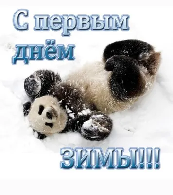 Открытка с Первым Днём Зимы, со снегирём и пожеланием • Аудио от Путина,  голосовые, музыкальные