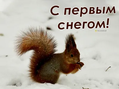 С первым снегом! | Пикабу