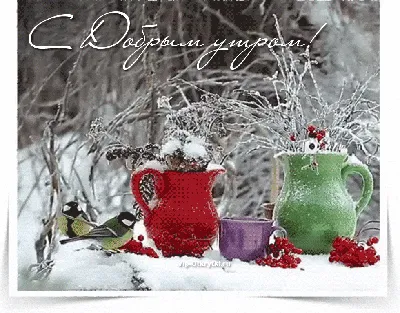 С первым снегом - новые красивые открытки (23 ФОТО)