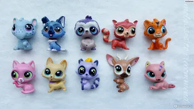 Hasbro Littlest Pet Shop - «Не трудно найти, легко растерять и невозможно  собрать всю коллекцию. Петшопики - мамы и папы голопопики. Наши 10  зверюшек.» | отзывы