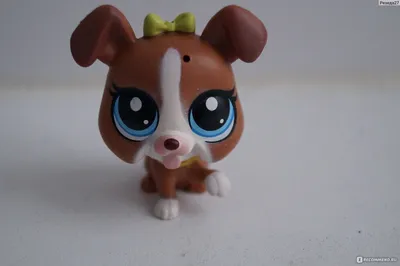 Littlest Pet Shop. Hasbro Перевод Виталины Смириной - «Коллекционные няшки  атакуют! Фото.» | отзывы
