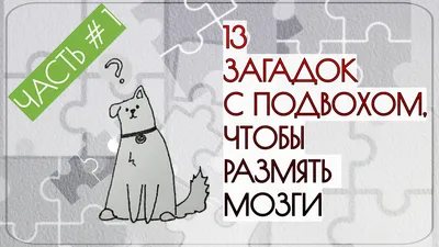 Цікавинки: 15 загадок с подвохом