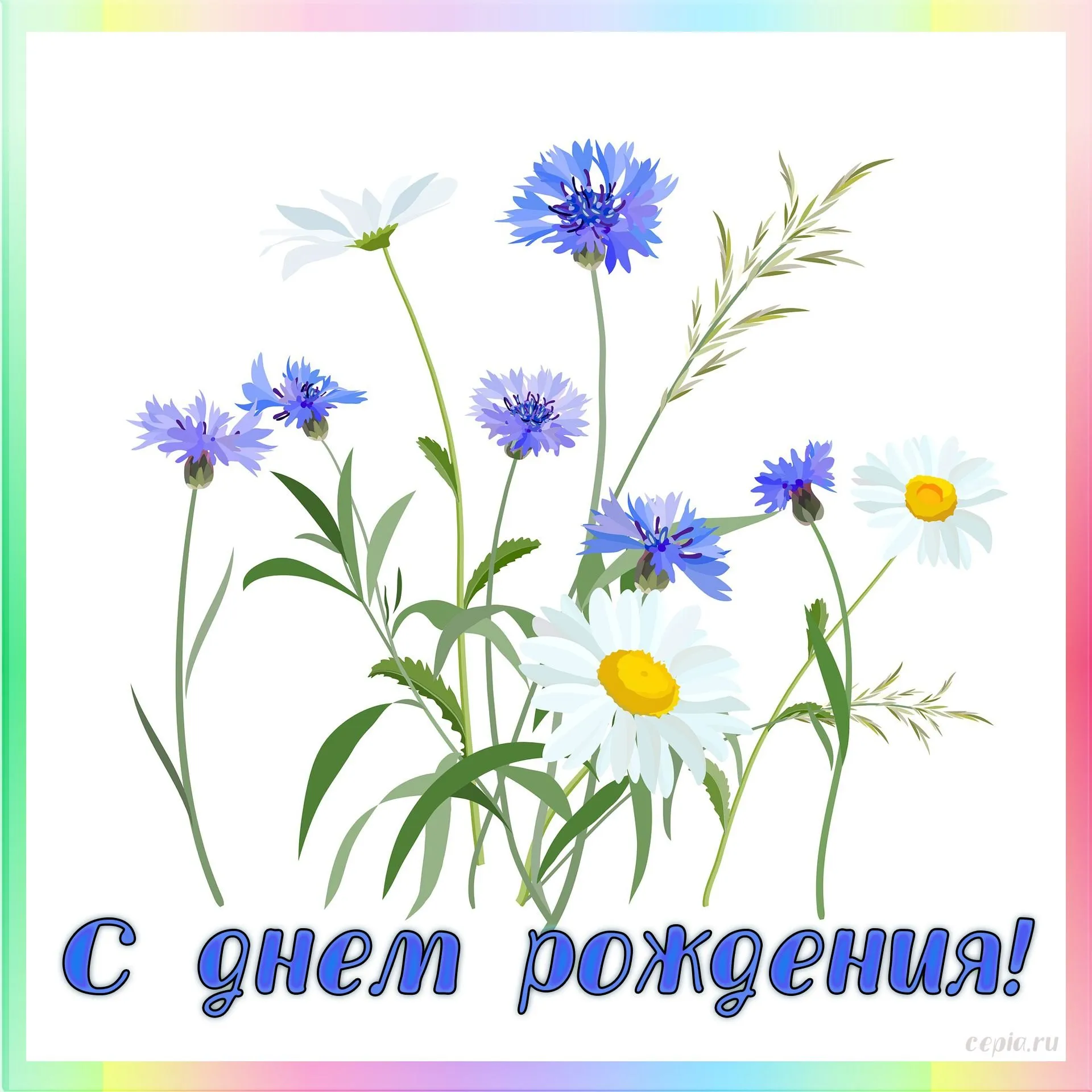 С днем рождения полевые цветы