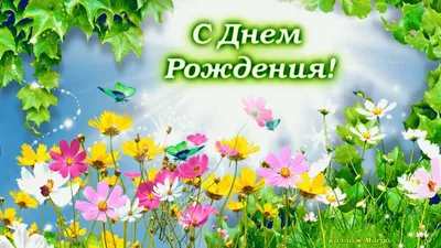 Полевые цветы - лето в нашем сердце.