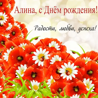 Полевые цветы — клипарт (6 фотоколлажей) — Abali.ru