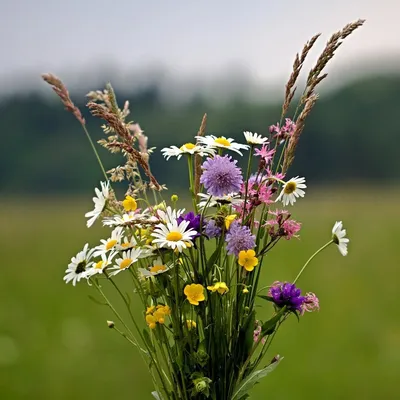 Полевые цветы в Москве 🌼 купить букет из полевых цветов онлайн с доставкой  | Флористическое кафе VioletFlowers 🌷
