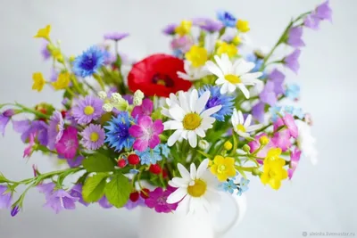 Купить Открытка «С ДНЁМ РОЖДЕНИЯ», полевые цветы производства Myatashop в  интернет-магазине Мята