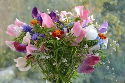 Открытки с днем рождения женщине полевые цветы - 81 фото