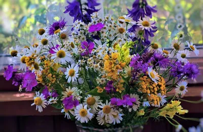 Красивые полевые цветы картинки с днем рождения - 65 фото