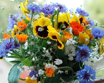Огромный букет полевых цветов (105 фото) »