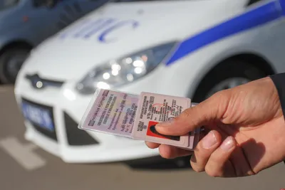 Новые правила получения водительских прав: какие серьезные изменения  утвердили. Читайте на UKR.NET