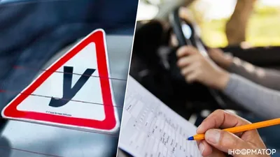 Госдума приняла новые правила получения водительских прав: Политика:  Россия: Lenta.ru