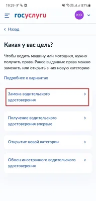 Директор владимирской автошколы второй раз попался на продаже документов  для получения водительских прав - новости Владимирской области