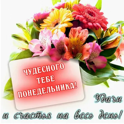 https://kherson-news.ru/society/2024/02/12/268669.html