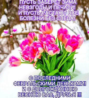 Мудрая бабулечка added a new photo. - Мудрая бабулечка