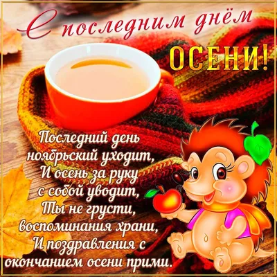 Осенние открытки \"Доброго дня!\" (231 шт.)