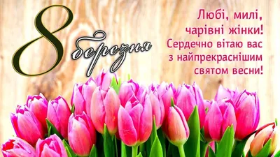 Поздравления с 8 марта от глав районов Дагестана | Черновик